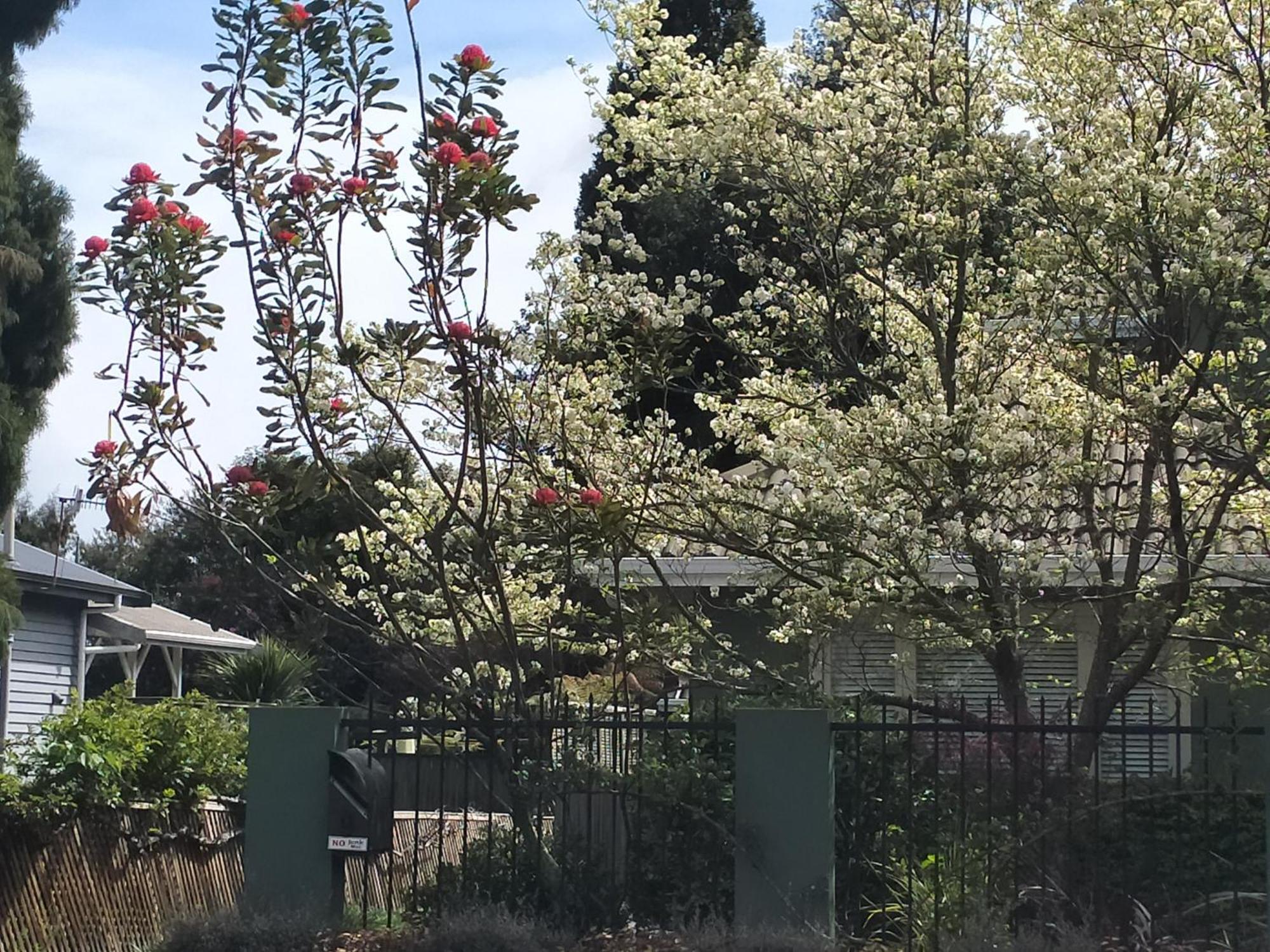 Amberly House Rotorua Bed & Breakfast Luaran gambar